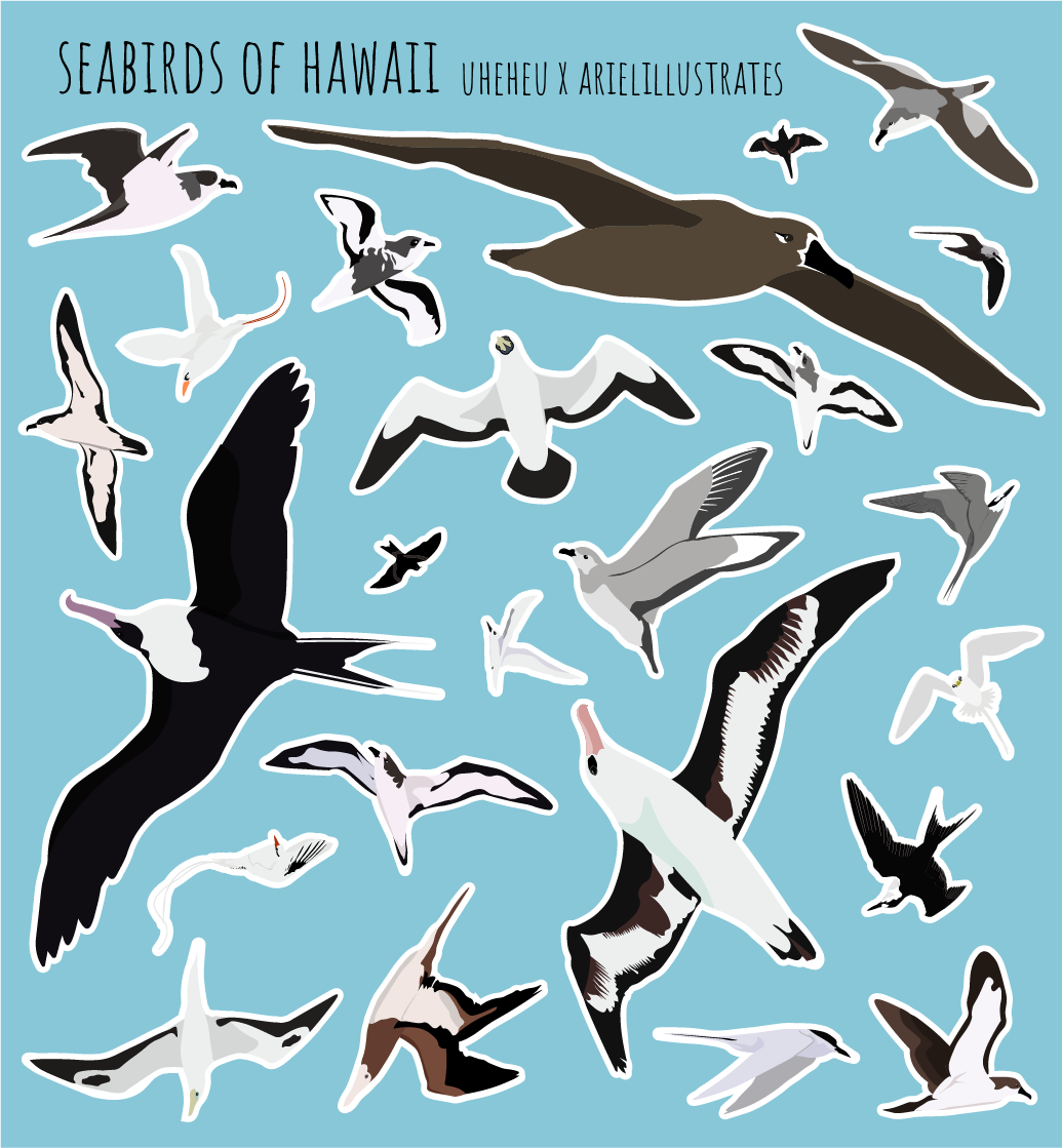 Hawaii Seabird Sticker Sheet