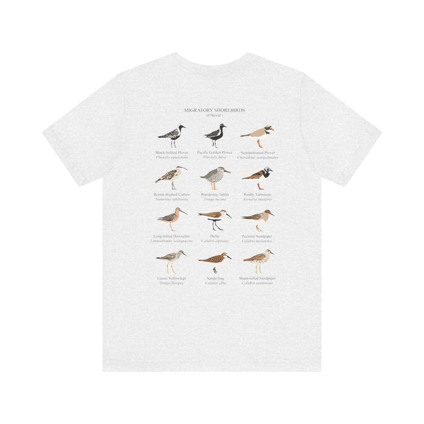 Migratory Shorebirds Tee