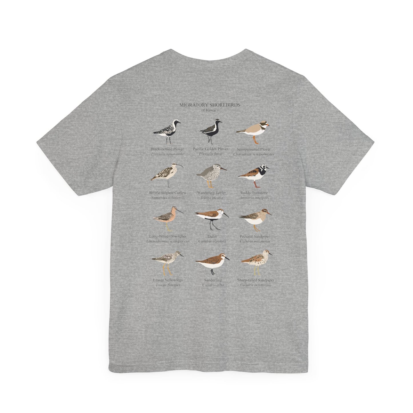 Migratory Shorebirds Tee