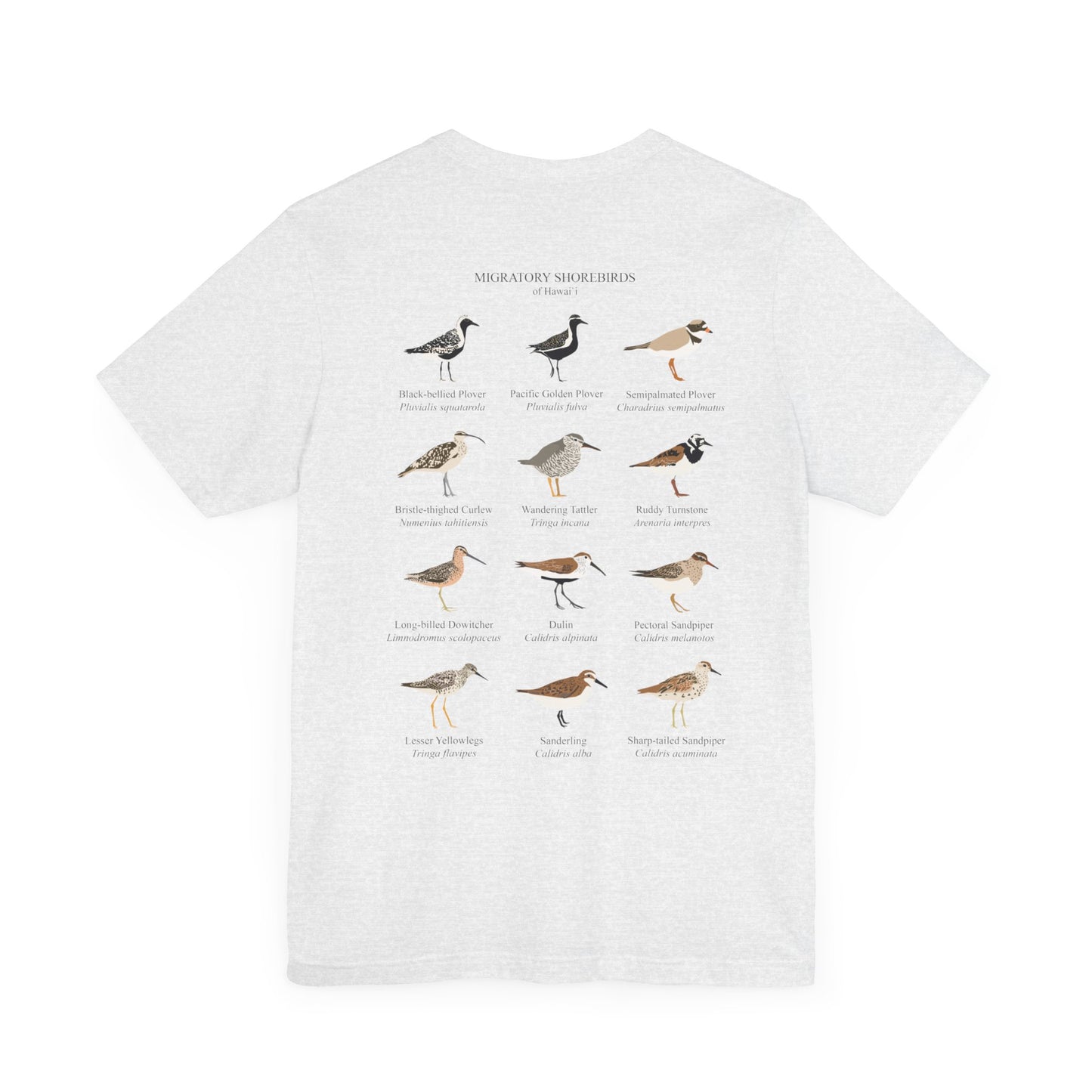 Migratory Shorebirds Tee