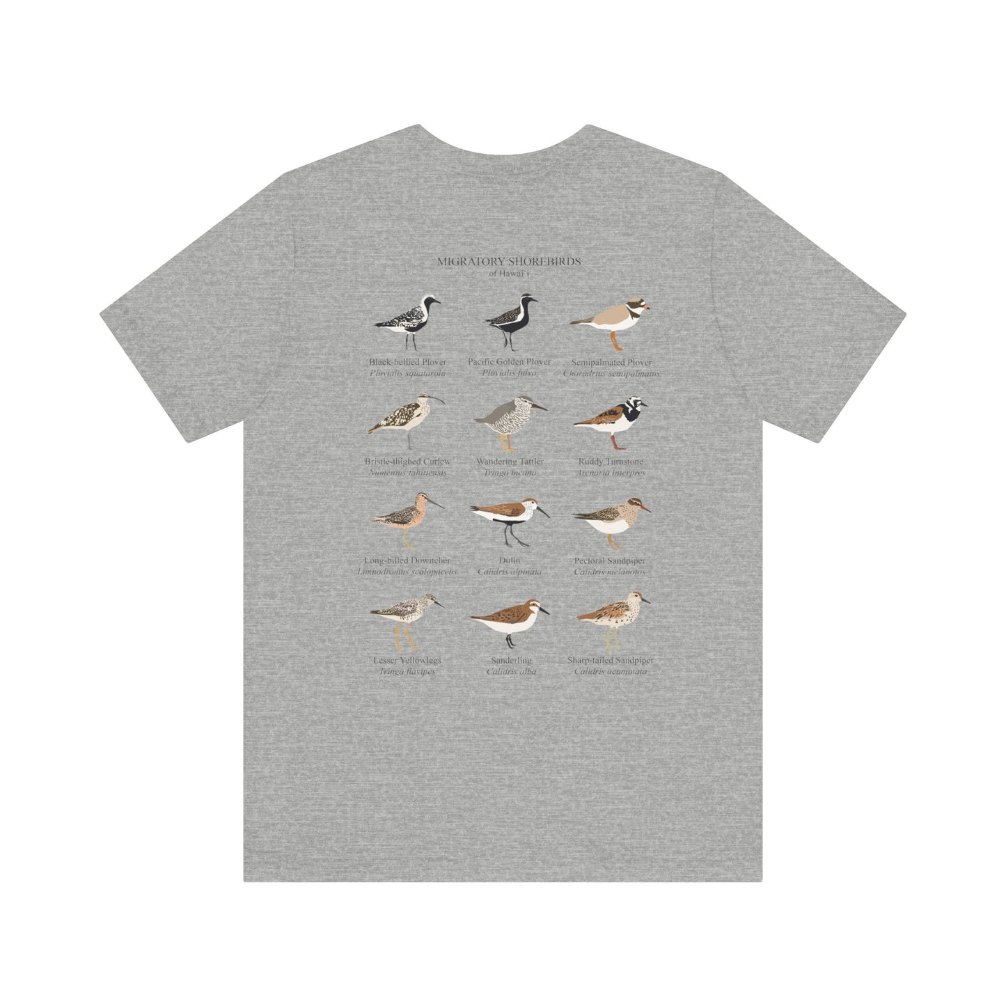 Migratory Shorebirds Tee