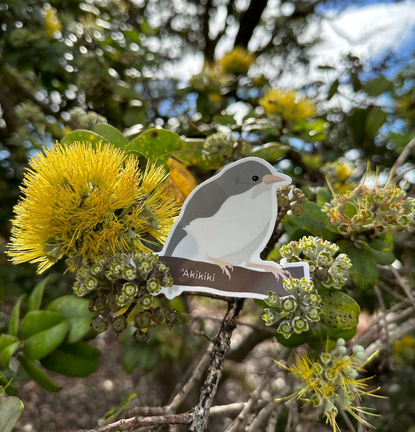 Endangered Bird Sticker Pack