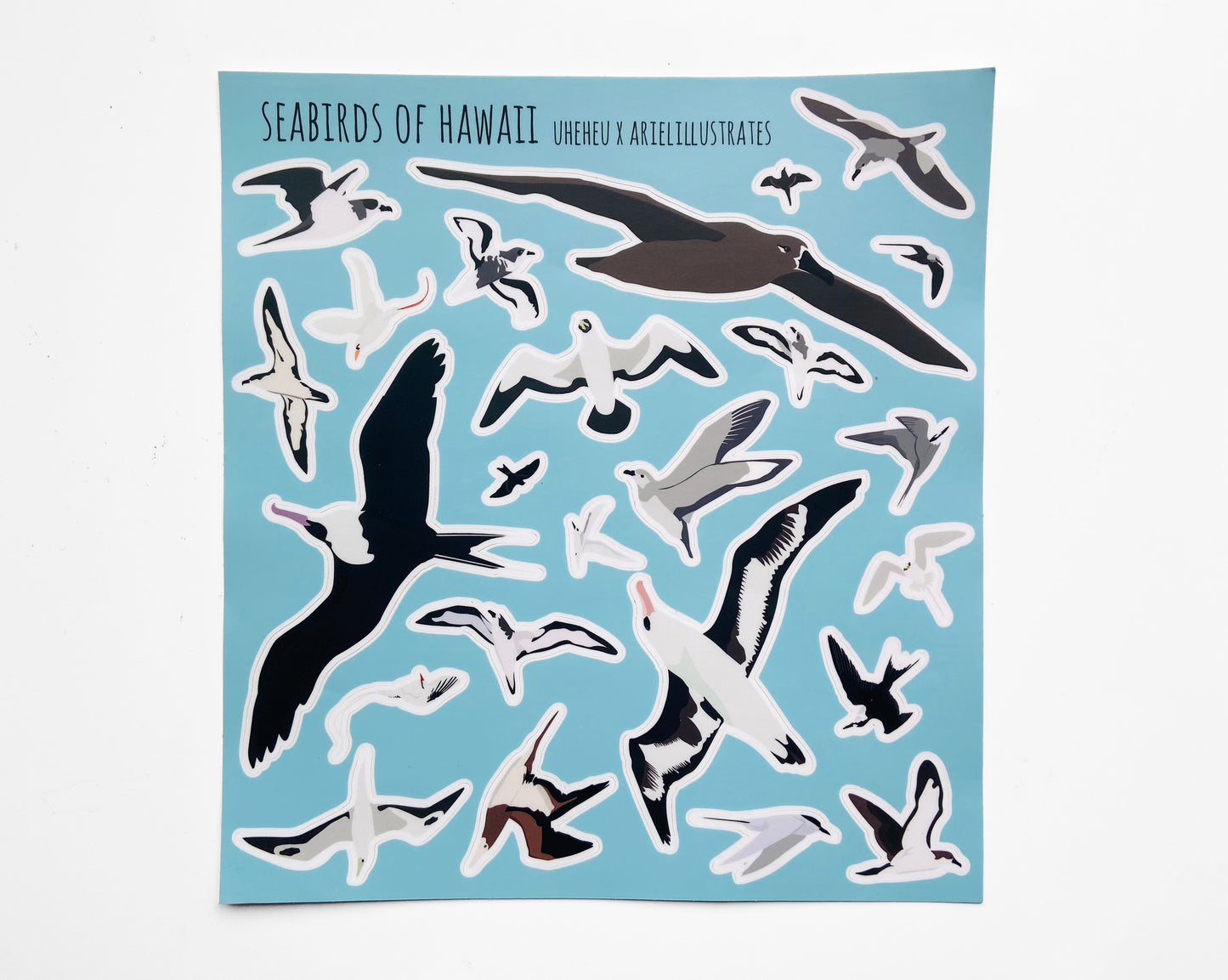 Hawaii Seabird Sticker Sheet