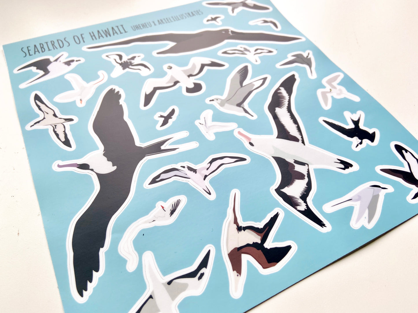 Hawaii Seabird Sticker Sheet