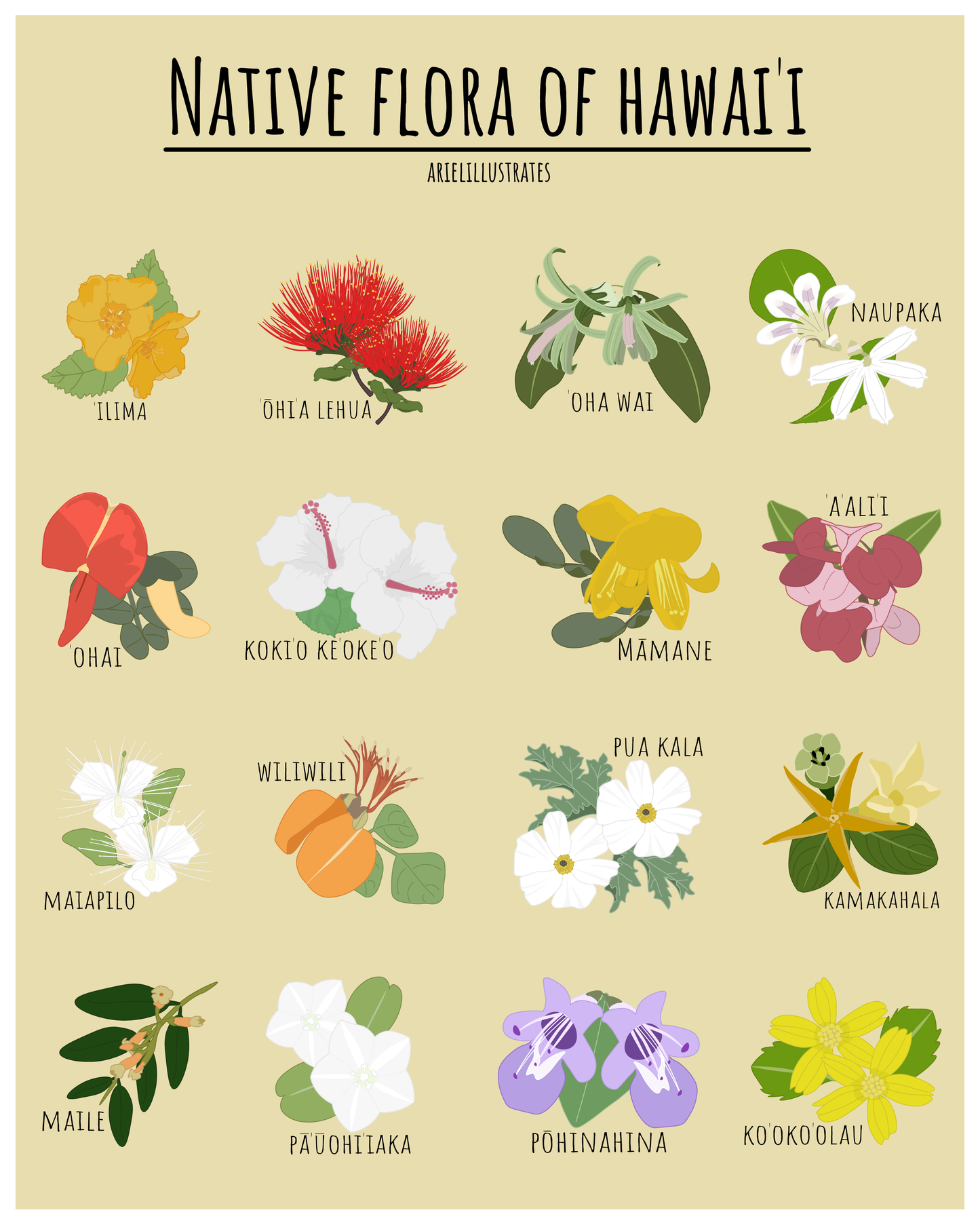 Flora of Hawai`i Poster